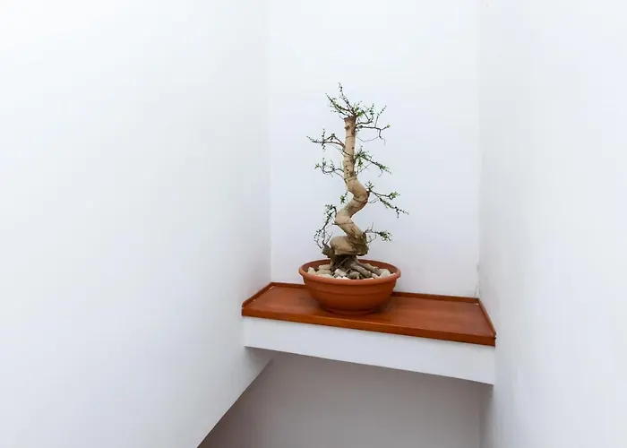 Ferienhaus House Mirjana *